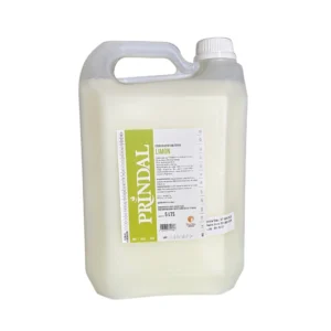 Esencia de limón 5L